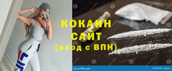 стаф Заводоуковск