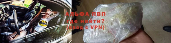 СК Зеленокумск