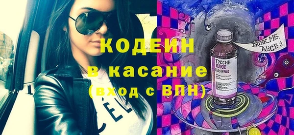 шишки Заволжье