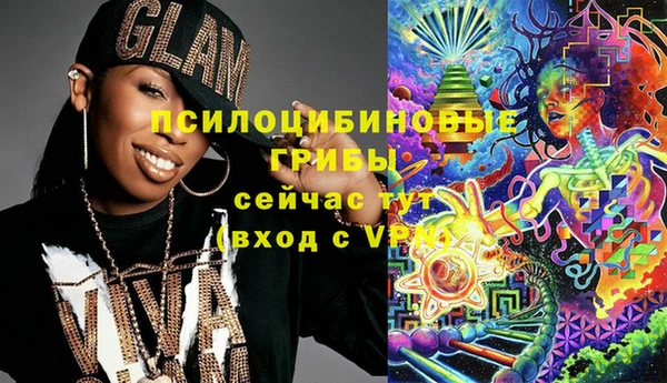 СК Зеленокумск