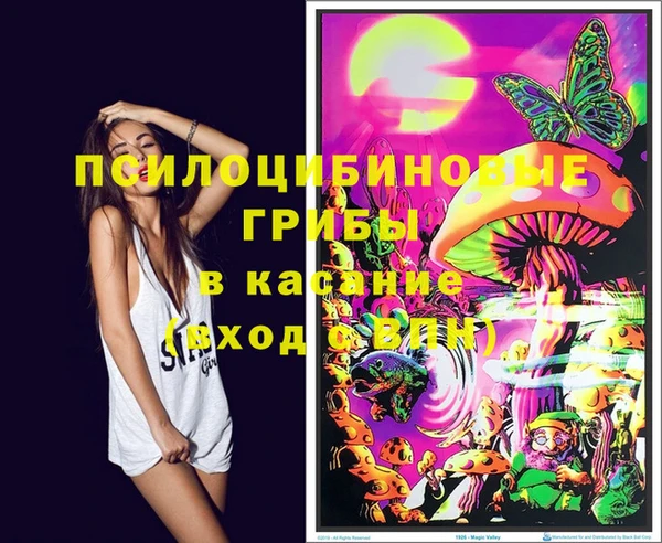 spice Зеленодольск