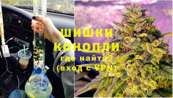 СК Зеленокумск