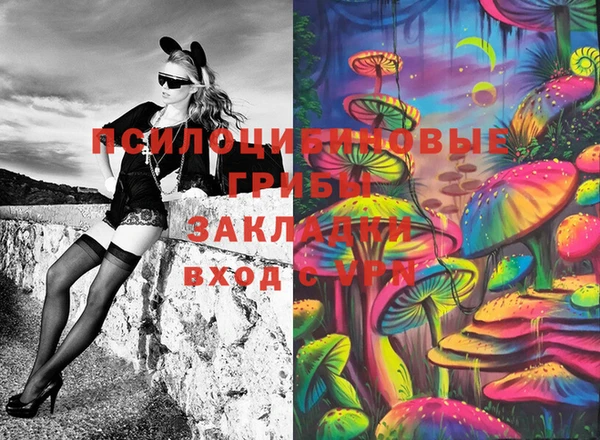 СК Зеленокумск